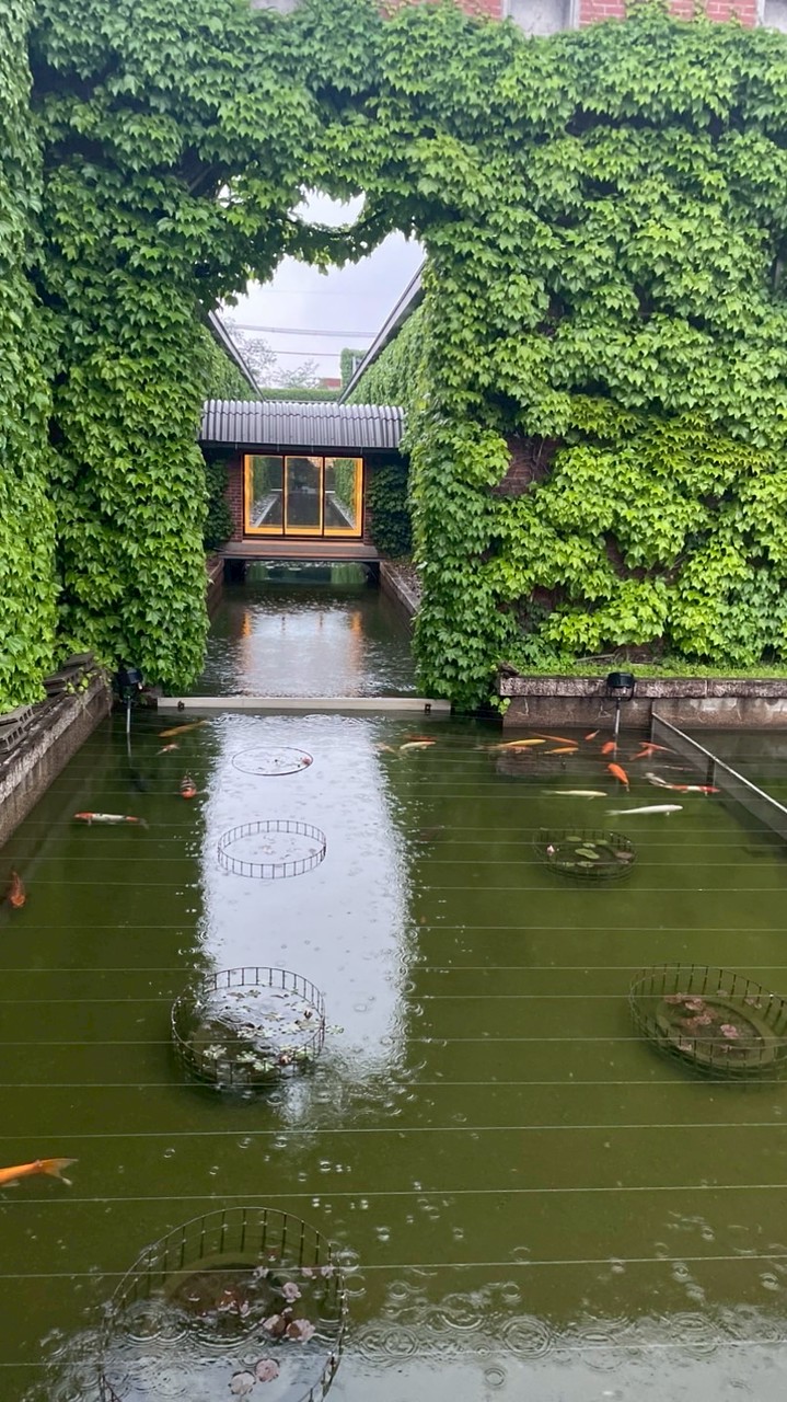【兵庫県】神戸・明石・姫路・加古川　友達づくりしませんか❓