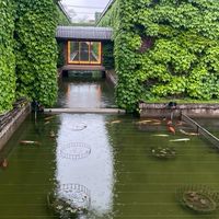 【兵庫県】神戸・明石・姫路・加古川　友達づくりしませんか❓