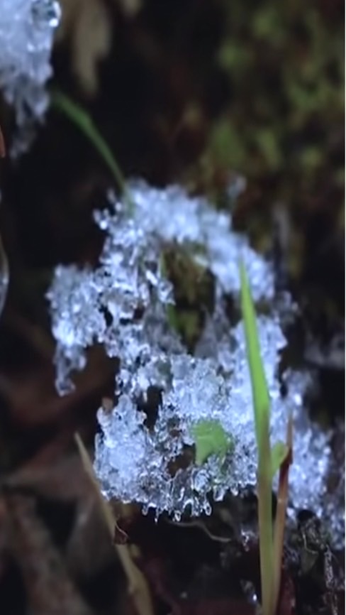 一石一擔一營火