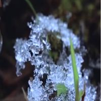一石一擔一營火