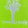 Tree of life整聊室