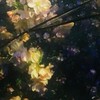 闇
