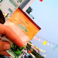 ศรชาปากน้ำเพชรบูรณ์