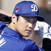 大谷翔平投手の活躍を喜び、共感する会