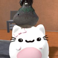 กลุ่มคนเล่นroblox