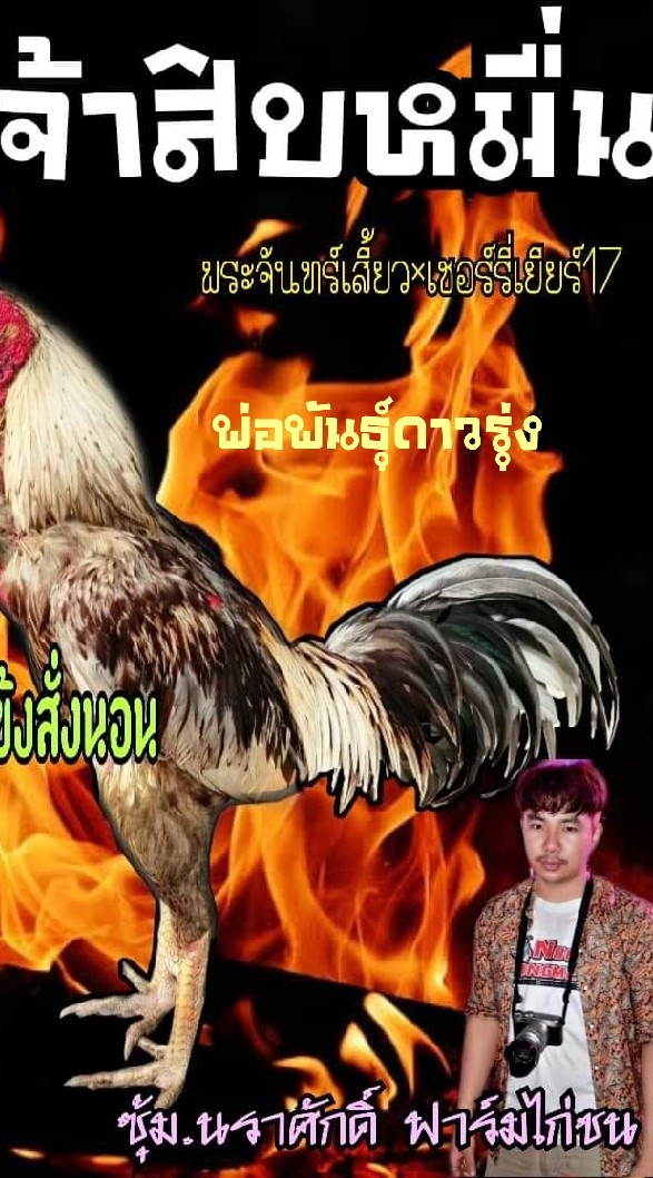 ซุ้ม.นราศักดิ์​ ฟาร์ม​ไก่ชน