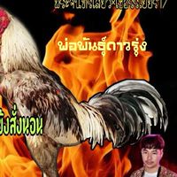 ซุ้ม.นราศักดิ์​ ฟาร์ม​ไก่ชน