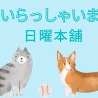 🇯🇵日本北海道代購◾北海道直運×連線◾泰國代購◾馬來西亞代購◾老墨與潔妹日本旅居生活❣️