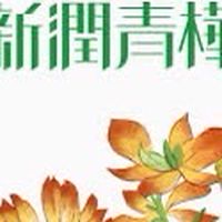 吉利驗屋-新潤青樺線上團購說明會