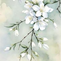 🌸❂正藍軍陣線聯盟 🎪支持教育 培育未來🌸