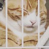 沖縄住みの学生集合‼️雑談しよう💖