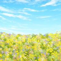 徳島40〜なんでも語り場