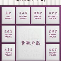 紫微斗數之各種extra talking team