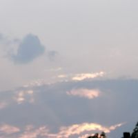 แม่โจ้ เทคโนโลยีชีวะภาพ 88