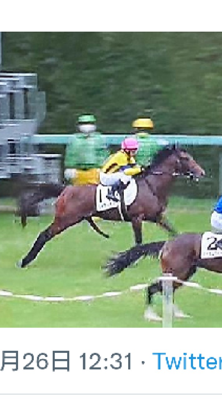 ギャン中のただ競馬をする所のオープンチャット