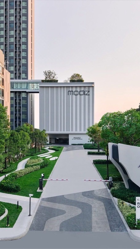 modiz avantgarde market