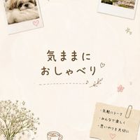 🍀気ままにおしゃべり🍀50歳以上の女性限定room