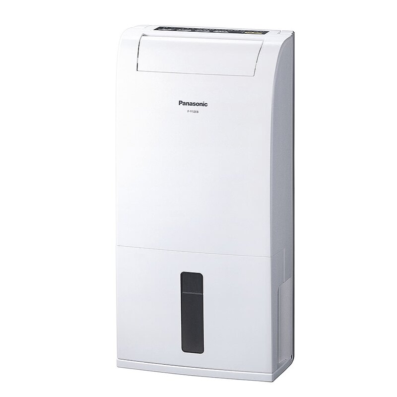 Panasonic 國際牌 6L 清淨除濕機 F-Y12EB