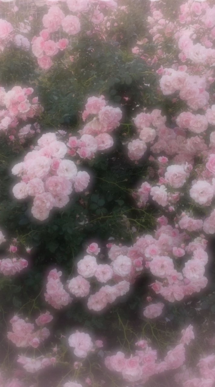 夢女子雑談自カプ語りオプ