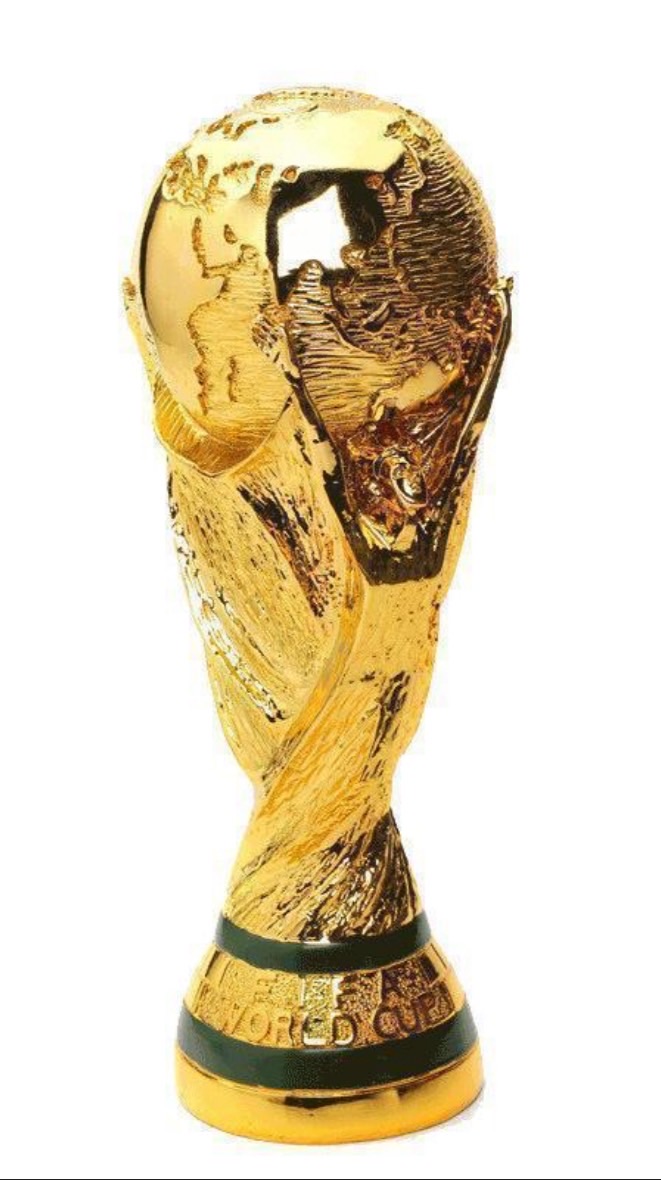 サッカーワールドカップ応援し隊