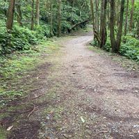 兒童單車運動