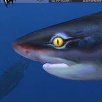 休閒釣魚會所