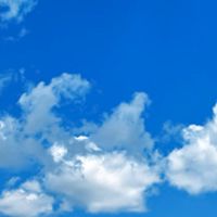 歌を歌うの好きな人おいで～！