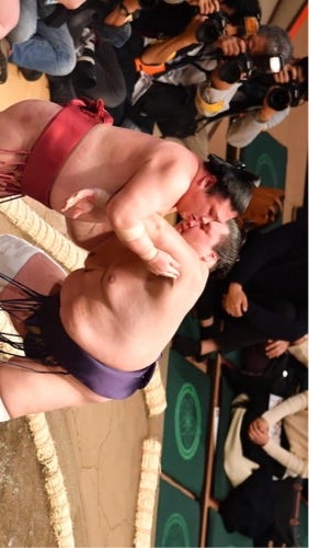 番付予想チャットたまに雑談