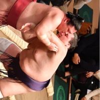 番付予想チャットたまに雑談