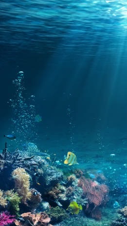 海底找好康