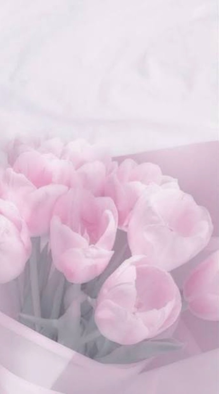 海 が 綺 麗 で す ね　．𓏸𓈒𓂃　〖　hq 夢　〗