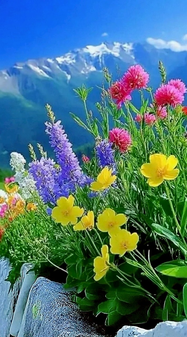 60代&70代前半✨楽しい時間を💫  人事部🪴