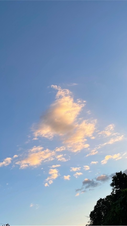 OpenChat 高一 勉強会