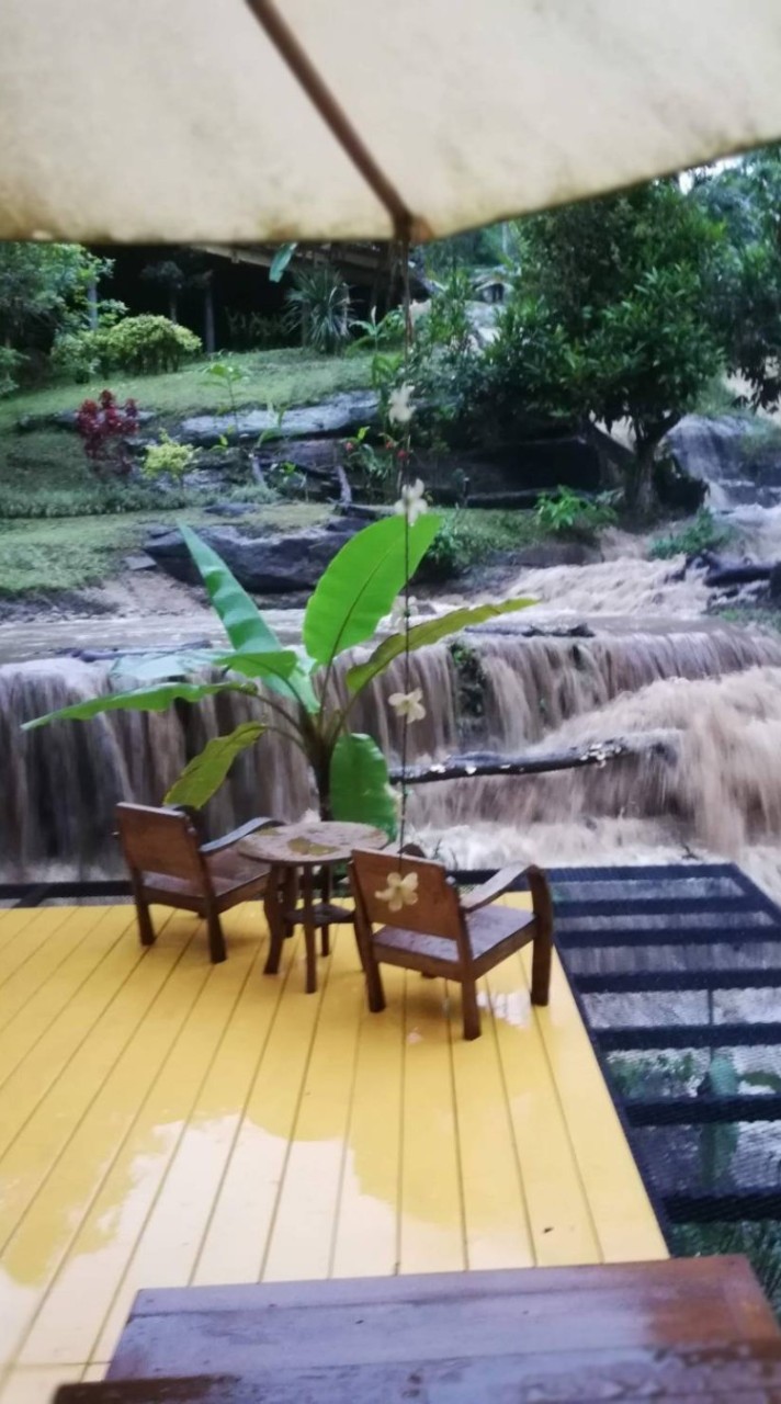 Forest Falls Garden(เชียงใหม่)