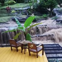 Forest Falls Garden(เชียงใหม่)