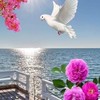 香水時尚