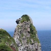 島っ子の会_壱岐島