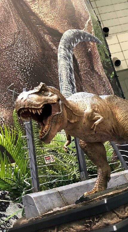 Dinosaur Toys & Model