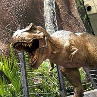 Dinosaur Toys & Model