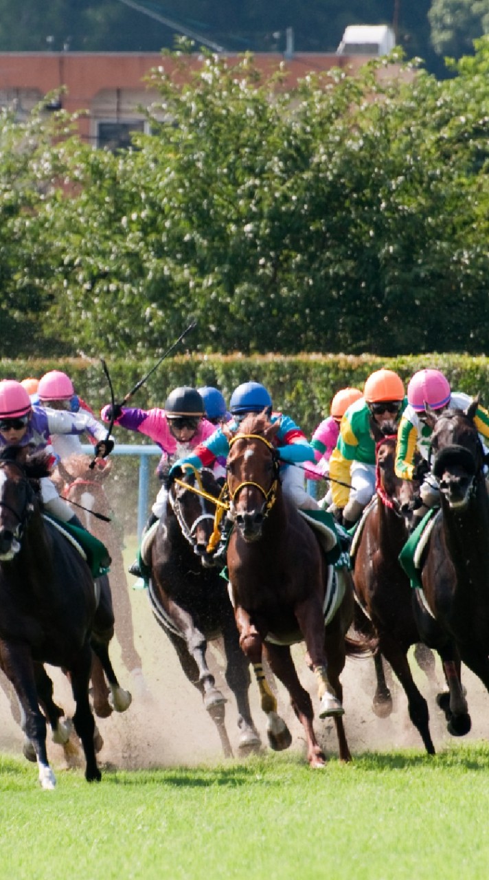 完全無料の厳選競馬🏇のオープンチャット