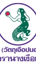 WS วุ้นนางเงือน 2568 ครั้งที่ 8