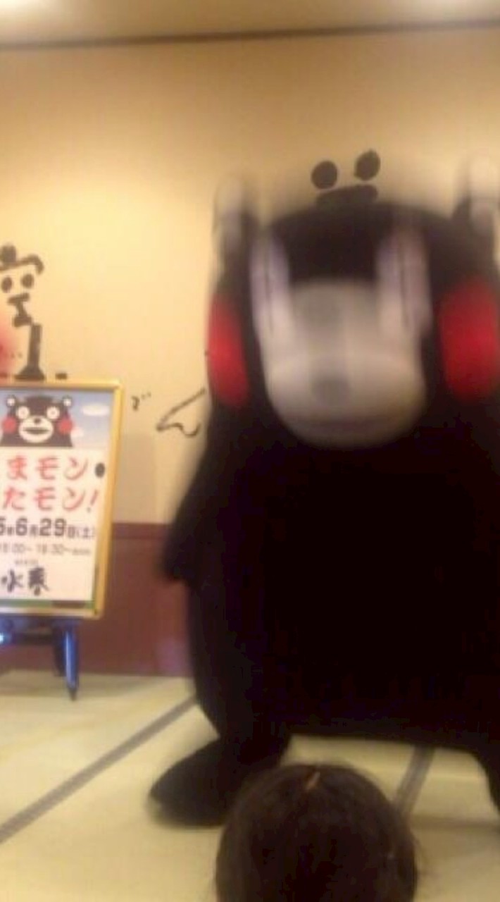 前々前世から君を探してたぜんゆるだよ‼️‼️😽😽