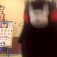 前々前世から君を探してたぜんゆるだよ‼️‼️😽😽