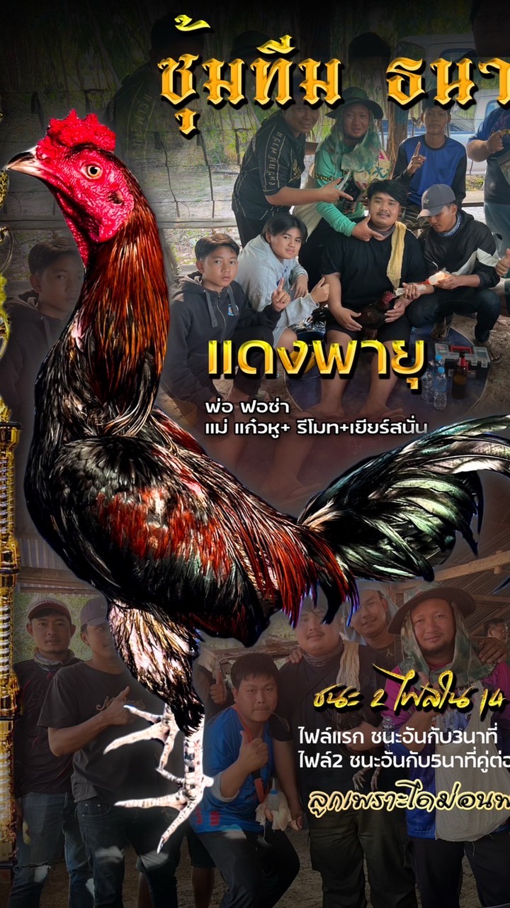 ซุ้มทีมธนากร