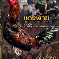 ซุ้มทีมธนากร