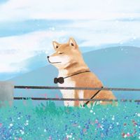我家那隻是戲精（貓狗生活分享討論🐕🐈）