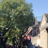 中国語朝活！！