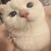 สายแองเจลิน่าโจลี่ ขยี้ใจ