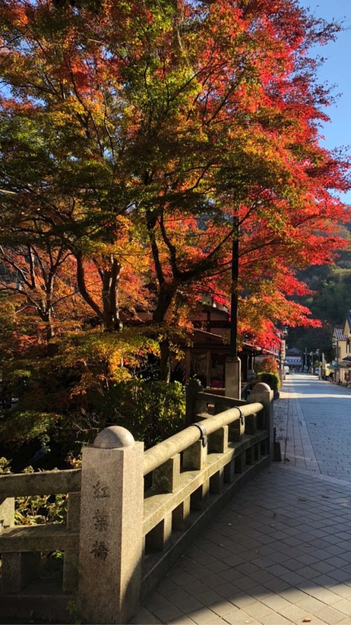 旅、旅行好き！(雑談可！)(中学生、高校生などの学生用)