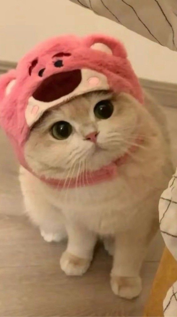 一起玩傳說꒰͒˶˙˘˙˶꒱ིྀ⸝*